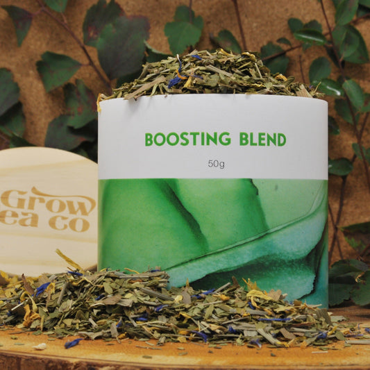 Boosting Blend - Grow Tea Company