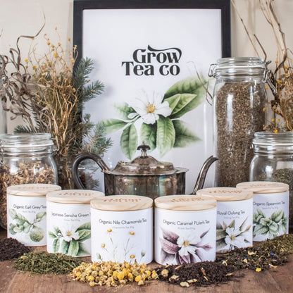 Nile Chamomile *Organic* - Grow Tea Company