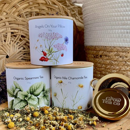 Holiday Tea Bundle - Three Canisters + Gold Tea Infuser - Grow Tea Company